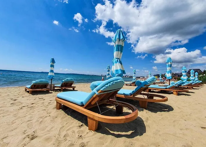 Vip Club Dolphin Coast